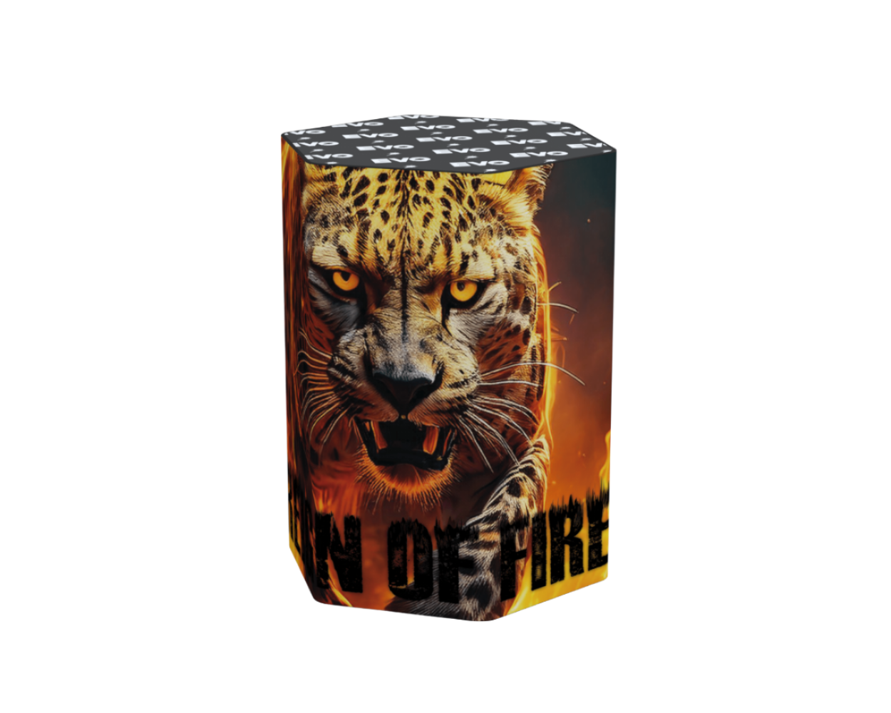 Reign of Fire